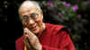 Dailia-Lama.jpg (49982 bytes)