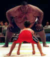 david-and-goliath-sumos.jpg (23827 bytes)